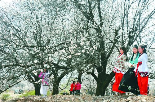 谈球吧智能球类分析平台数据看板
